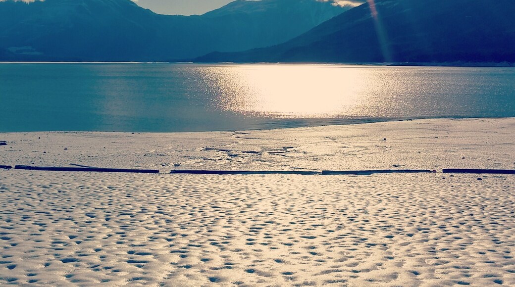 The West Kootenay Scenic Route is incredible when heading north to Kamloops. You will have wild views of the mountains and animal encounters. Surrounded by millions of Ponserosa Pines which feel like your trapped in a snow globe during the winter.
While in the area make sure to also check out the beaches of Nakusp BC. A swimmable mountain rimmed lake in the summer that will melt all your troubles away.