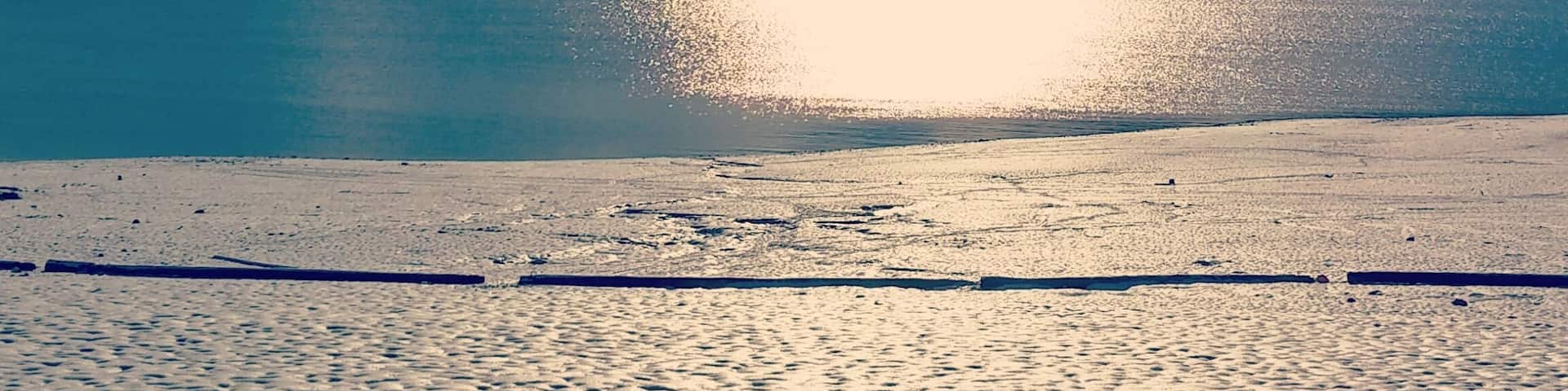 The West Kootenay Scenic Route is incredible when heading north to Kamloops. You will have wild views of the mountains and animal encounters. Surrounded by millions of Ponserosa Pines which feel like your trapped in a snow globe during the winter.
While in the area make sure to also check out the beaches of Nakusp BC. A swimmable mountain rimmed lake in the summer that will melt all your troubles away.