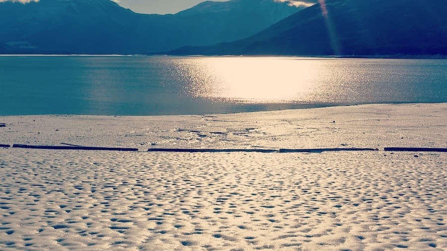 The West Kootenay Scenic Route is incredible when heading north to Kamloops. You will have wild views of the mountains and animal encounters. Surrounded by millions of Ponserosa Pines which feel like your trapped in a snow globe during the winter.
While in the area make sure to also check out the beaches of Nakusp BC. A swimmable mountain rimmed lake in the summer that will melt all your troubles away.