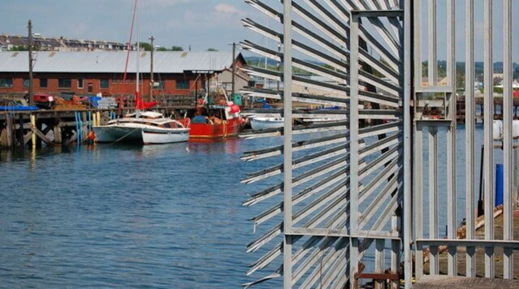 Security fence Supposed to prevent access to dock area at Methil harbour