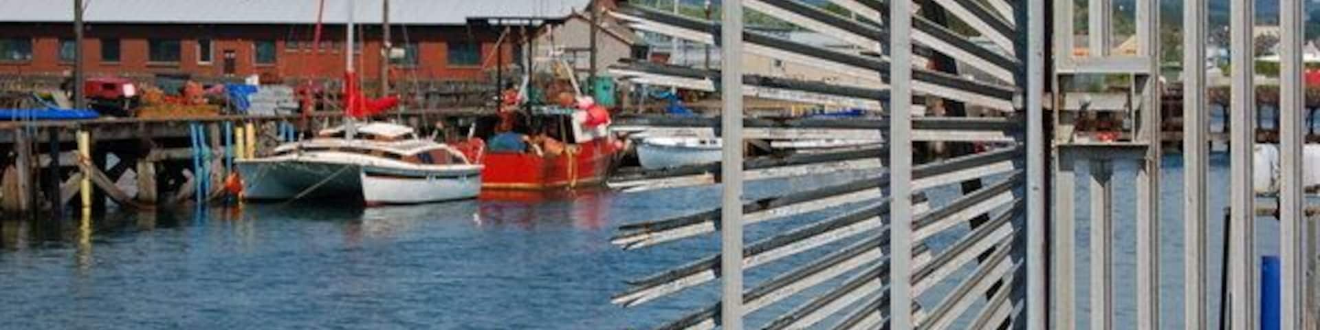 Security fence Supposed to prevent access to dock area at Methil harbour