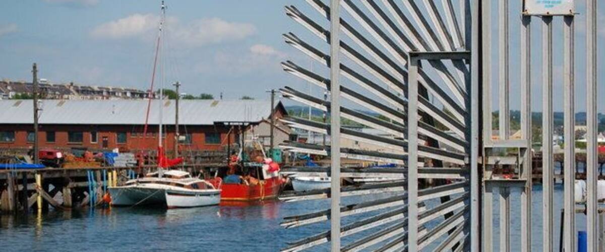 A harbor with boats docked, a metal fence, and buildings in the background.