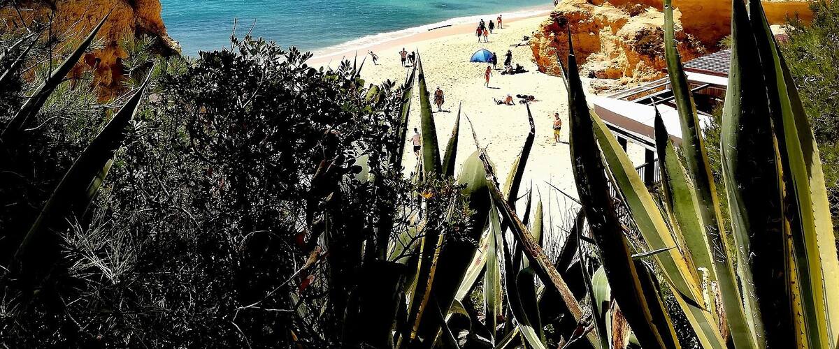 Praia da Marinha, Algarve, Portugal.