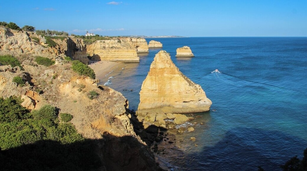 Fantastic morning walking with Alpacas. Owners are so knowledgeable and friendly. Great experience. #SpringFun