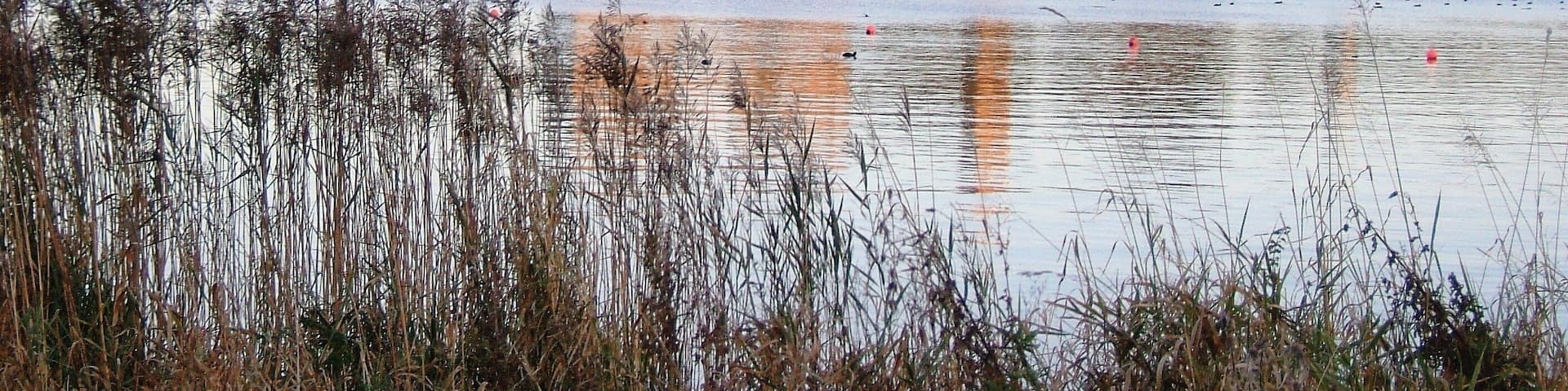 birthplace of mary queen of scots