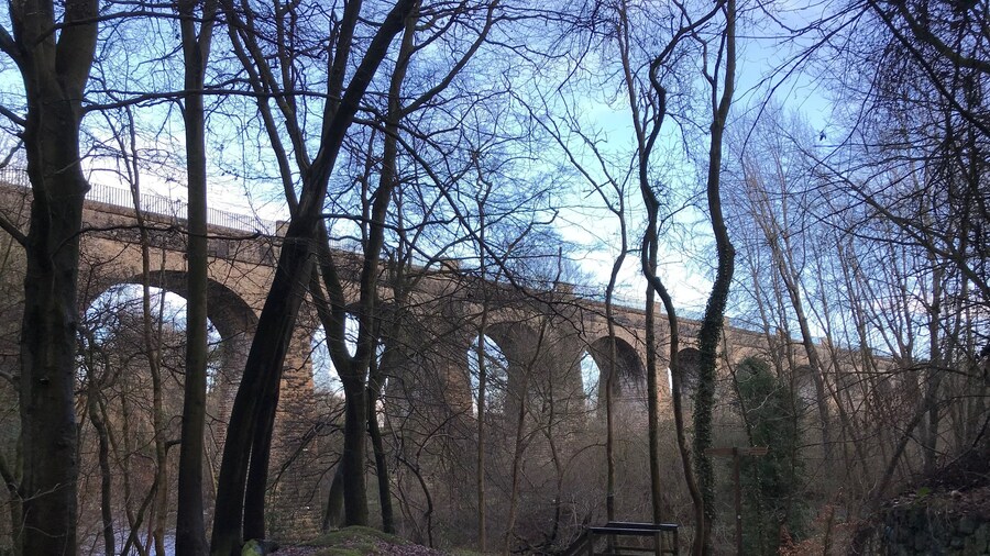 Muiravonside Country Park