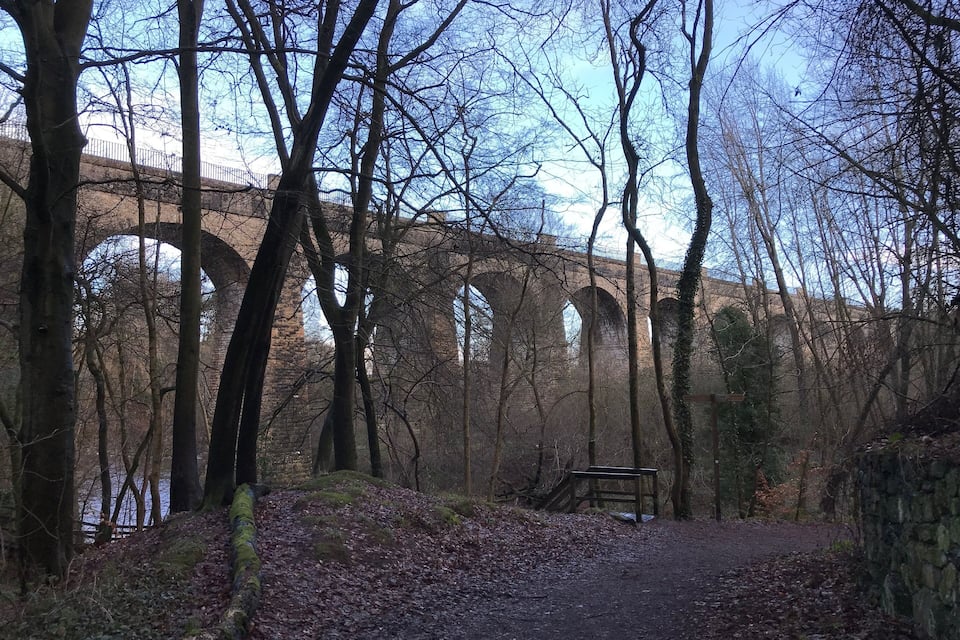 A forest path leading to a stone bridge with arches over a river.