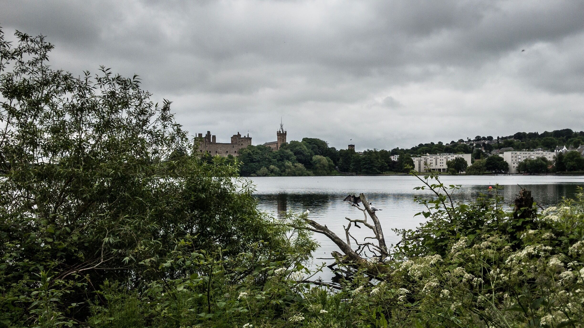 The Palace from the side of the lake...