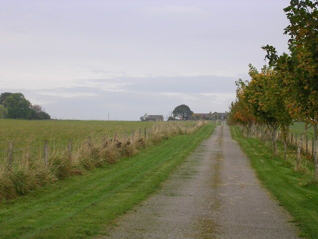 Climb towards Lumphart Farm Viewed from the Oldmeldrum/Pitcaple road
