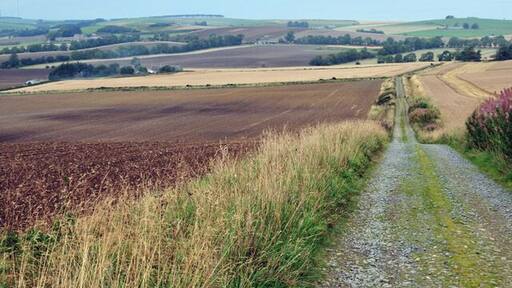 Looking across fields to Cairnmyre farm