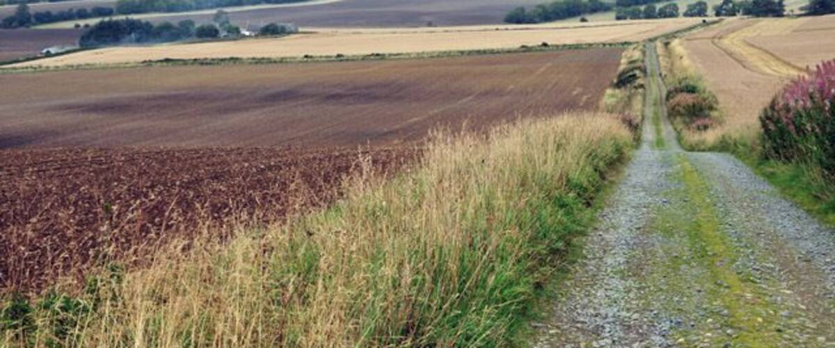 A rural landscape with a gravel path leading through fields and rolling hills in the distance.