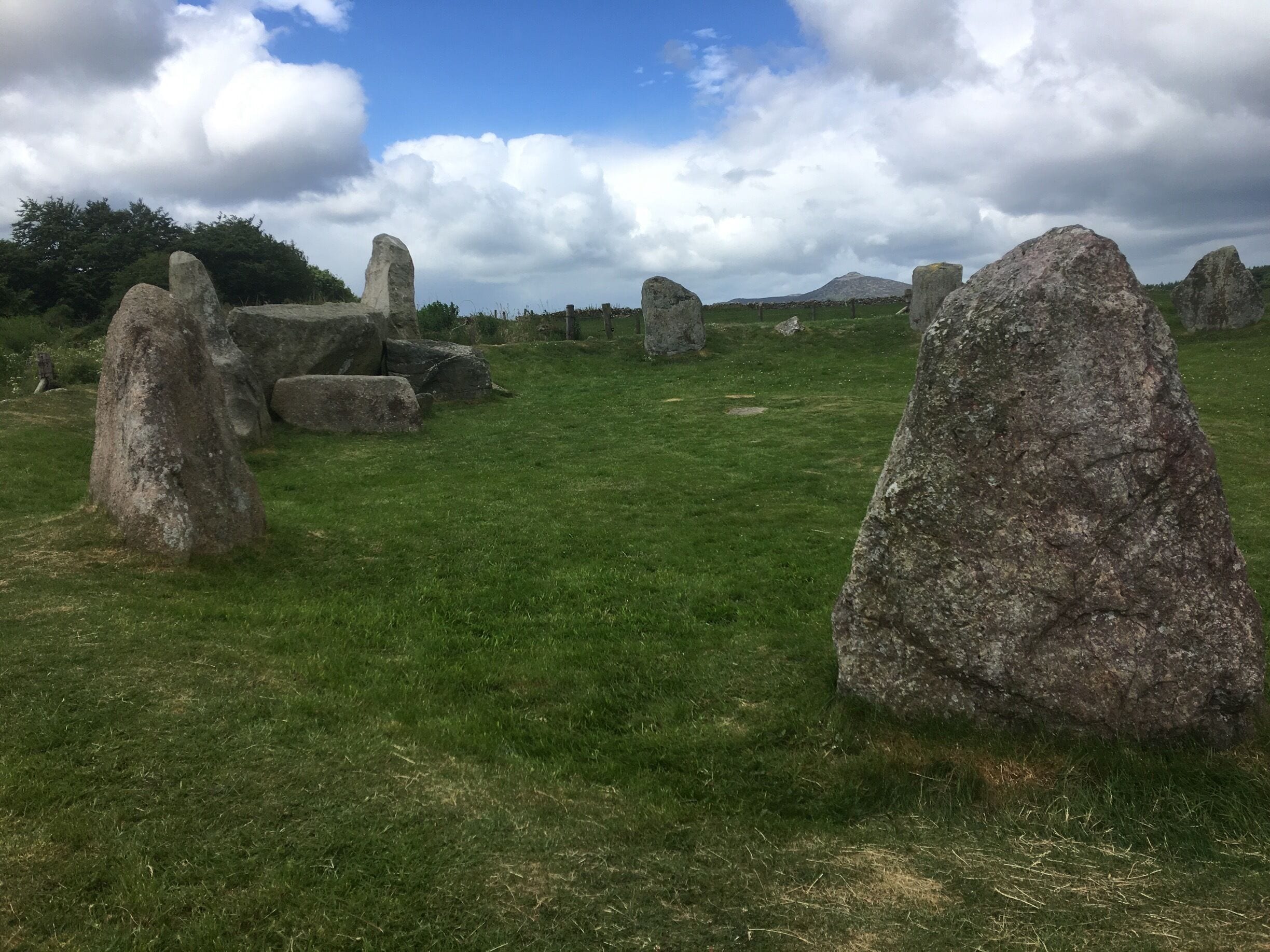 A grassy field with several standing stones.