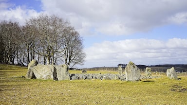 Um círculo de pedra com grandes pedras erguidas em um campo gramado, rodeado por árvores sem folhas e um céu parcialmente nublado.