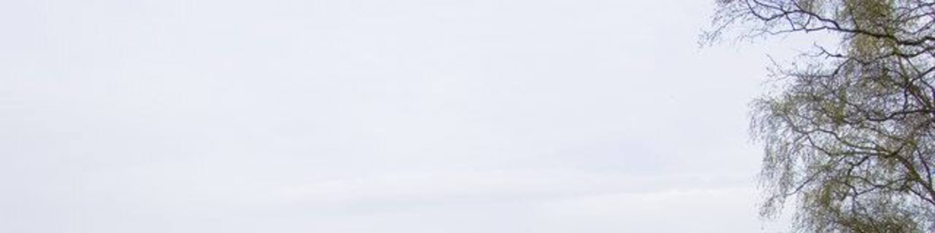 Loanhead of Daviot stone circle