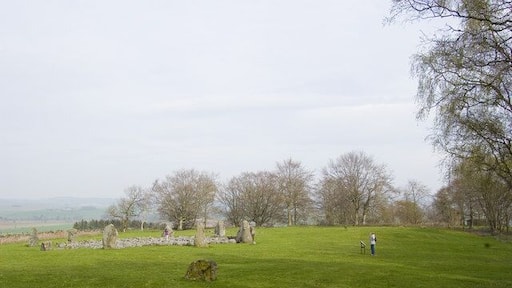 Loanhead of Daviot stone circle