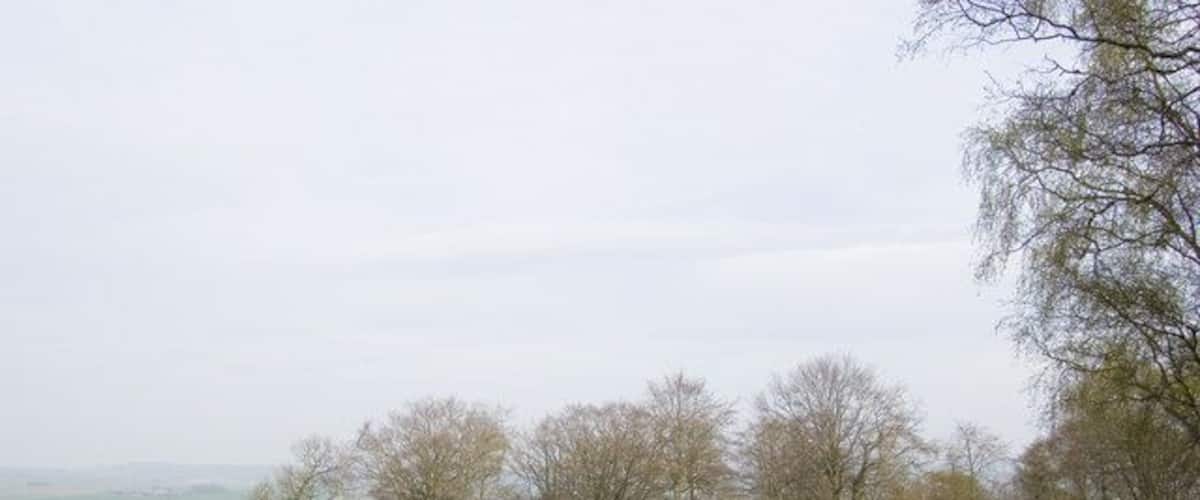 A grassy field with stone circles and leafless trees.