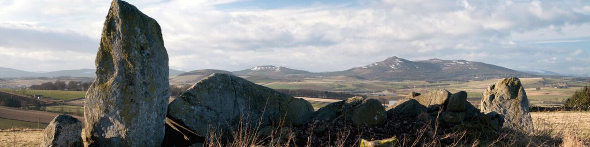 Cropped version of the below image