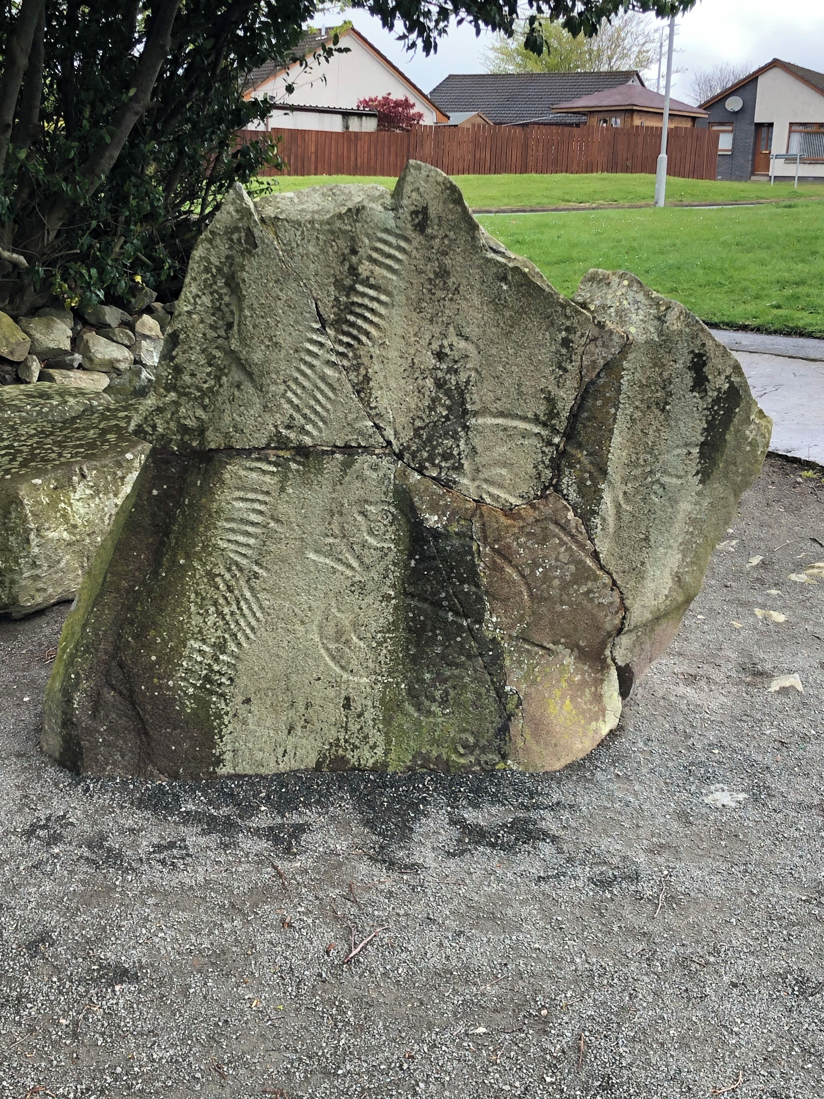 Pictish stone from a stone circle long destroyed. It’s just in a park in a housing estate in rural Scotland.