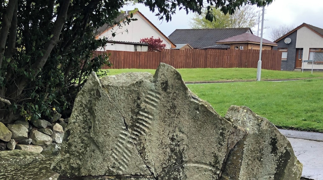 Pictish stone from a stone circle long destroyed. It’s just in a park in a housing estate in rural Scotland.