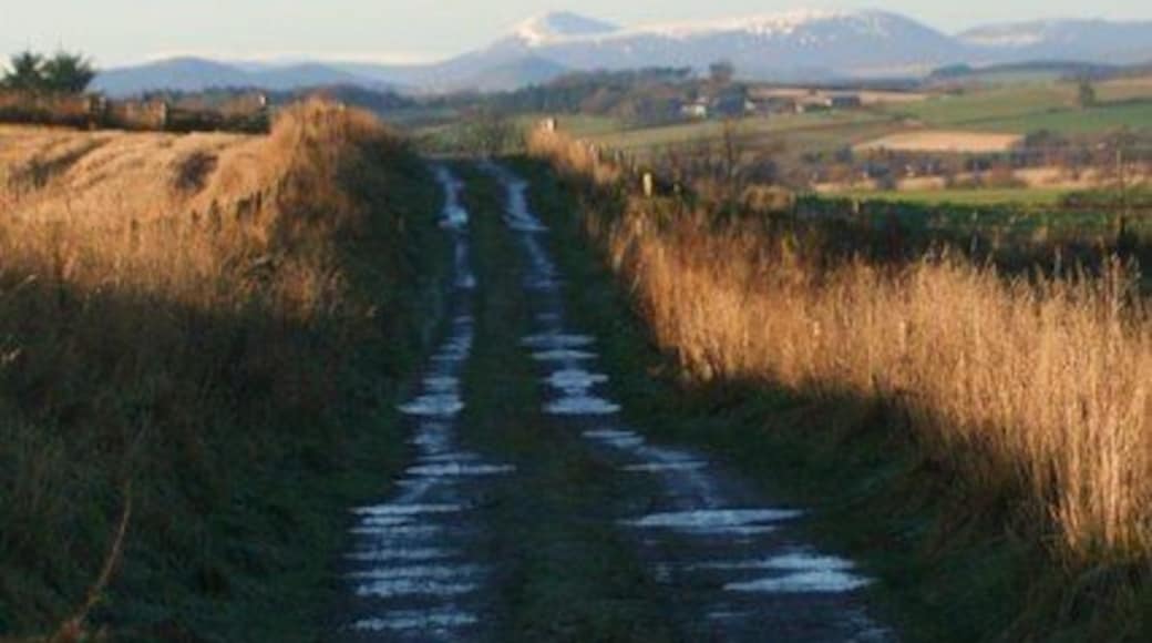 Wintry track to Redhouse The access road to Redhouse, and Blankets, from Cromlet. In reality little more than a farm road between fields this proves part of a popular walk in Oldmeldrum providing in this case a view to distant Tap O'Noth at Rhynie.