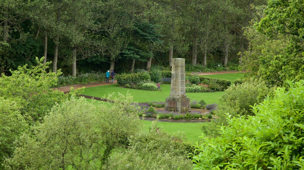 Dunblane which includes a park