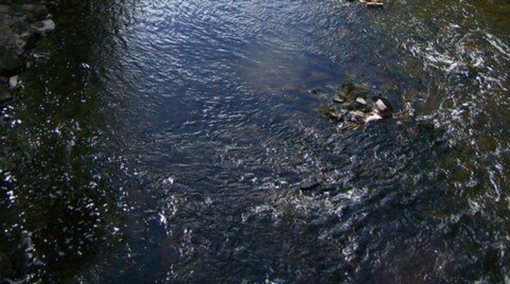 Allan Water. Looking west from the bridge north of Kinbuck. The water looked very inviting on a day so perfect for "squaring".