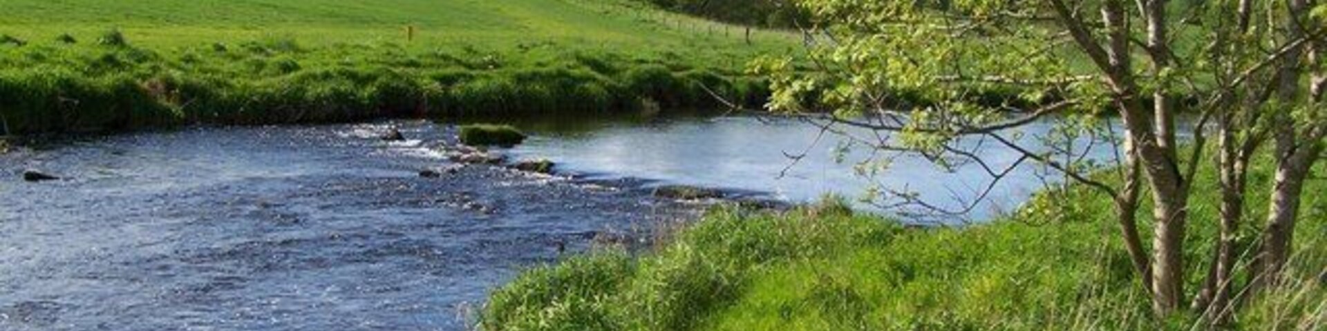 Un río que serpentea por un valle verde con orillas cubiertas de hierba y árboles.