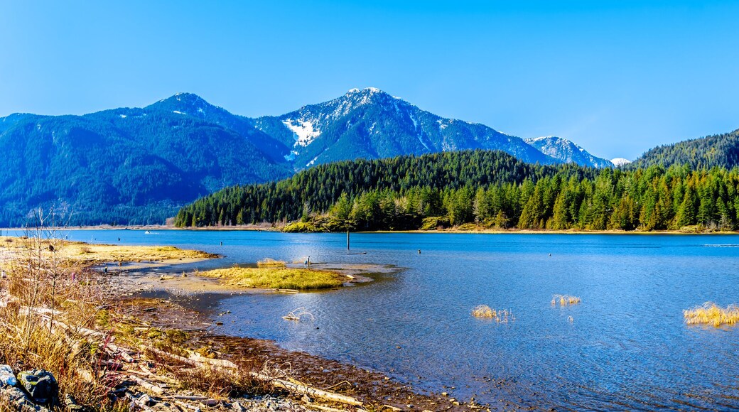 Panorama with a Fishing Boat on Pitt Lake with the Snow Capped Peaks of the Golden Ears, Tingle Peak and other Mountain Peaks of the Coast Mountains of British Columbia, Canada