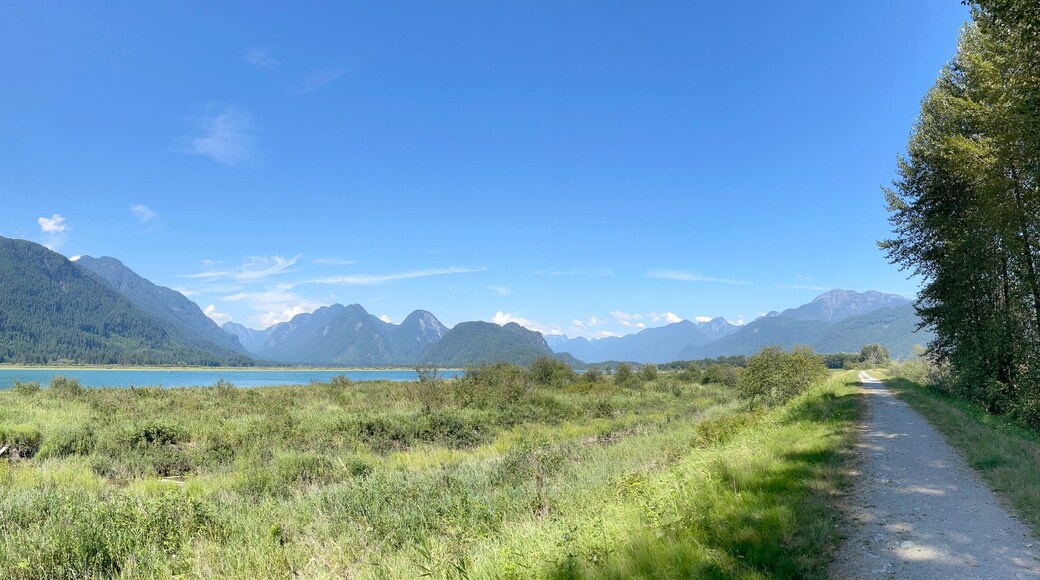 Panorama of Pitt Lake - Grant Narrows Regional Park in Pitt Meadows, British Columbia, Canada