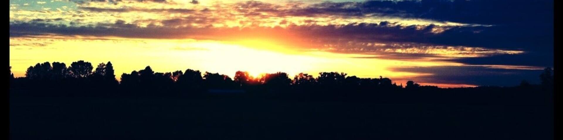 There are a ton of farms in Pitt Meadows. While driving through, we had to stop and watch this beautiful sunset overlooking one of the farms.