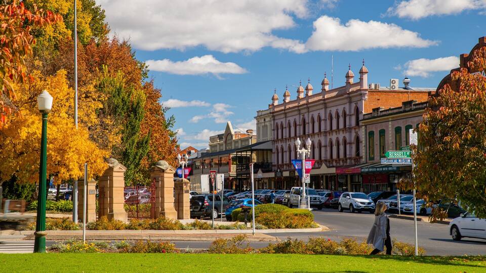 A historic street with autumn foliage, parked cars, and a pedestrian crossing.