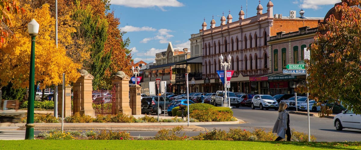 A historic street with autumn foliage, parked cars, and a pedestrian crossing.
