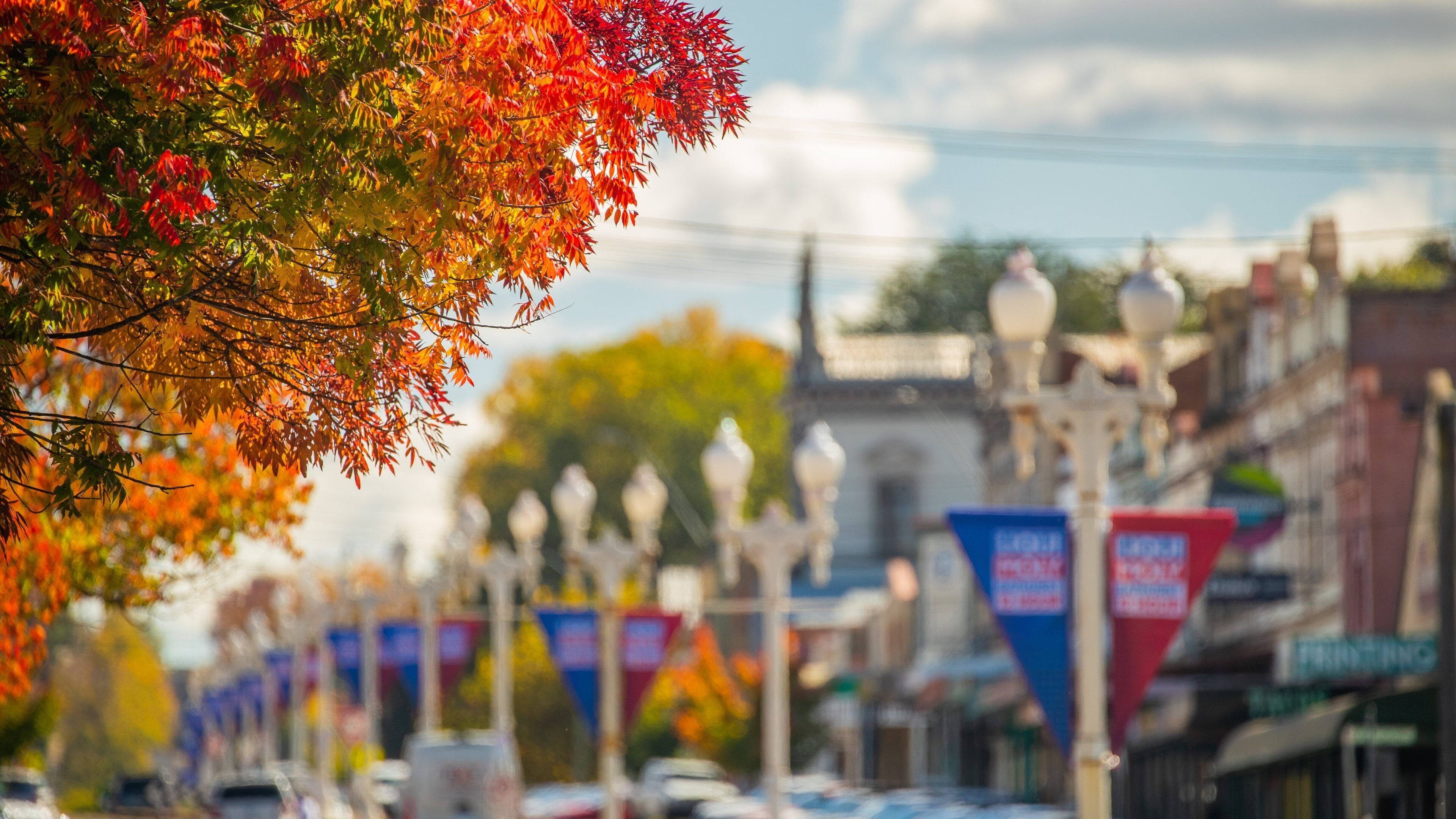 Bathurst showing a small town or village and autumn leaves