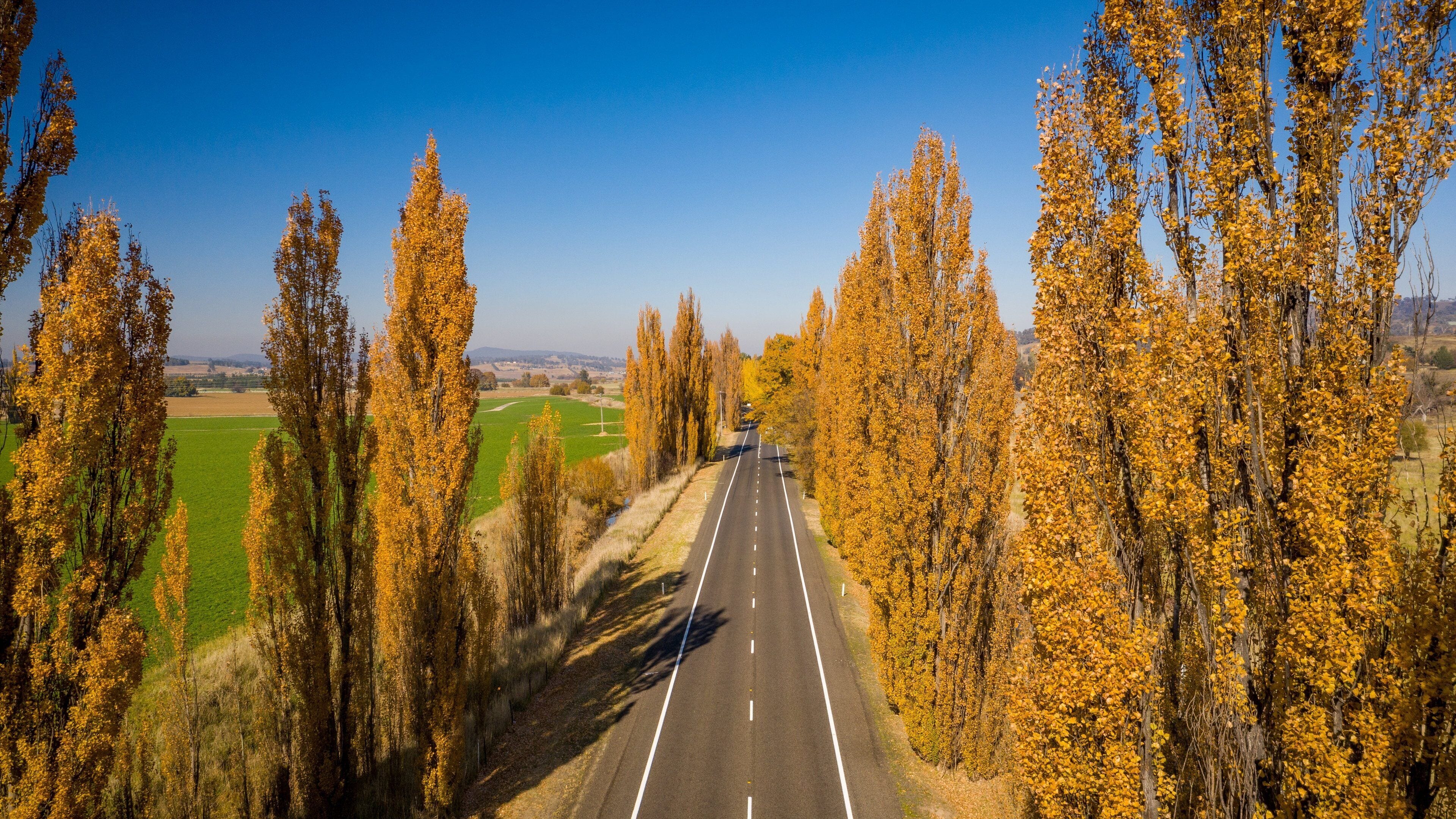 Bathurst which includes tranquil scenes