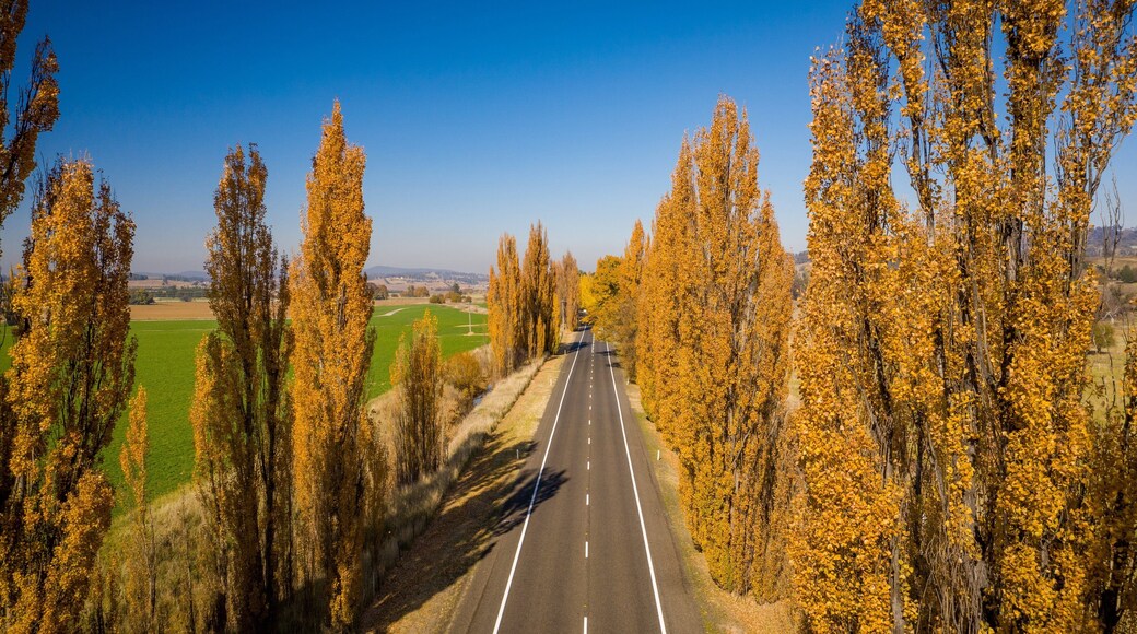 Bathurst which includes tranquil scenes