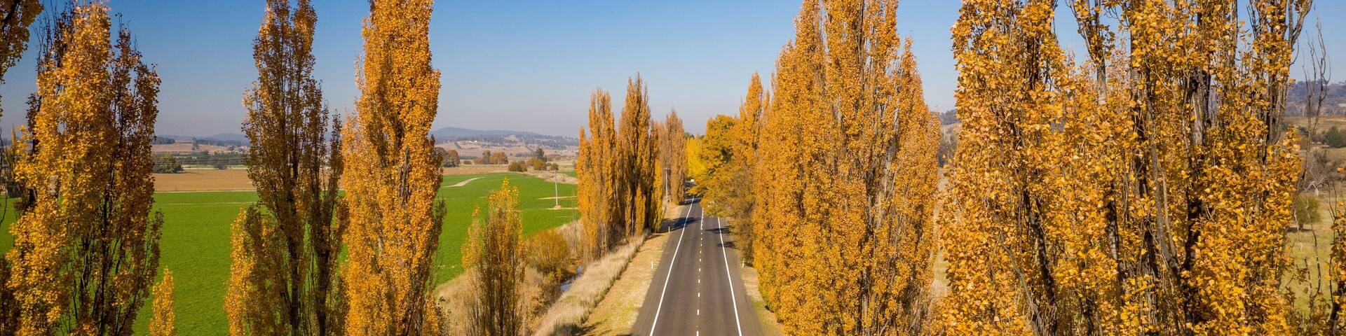 Bathurst which includes tranquil scenes