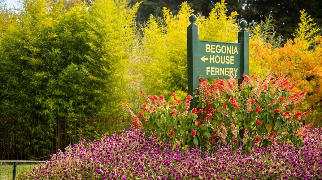 Bathurst which includes flowers, signage and a garden