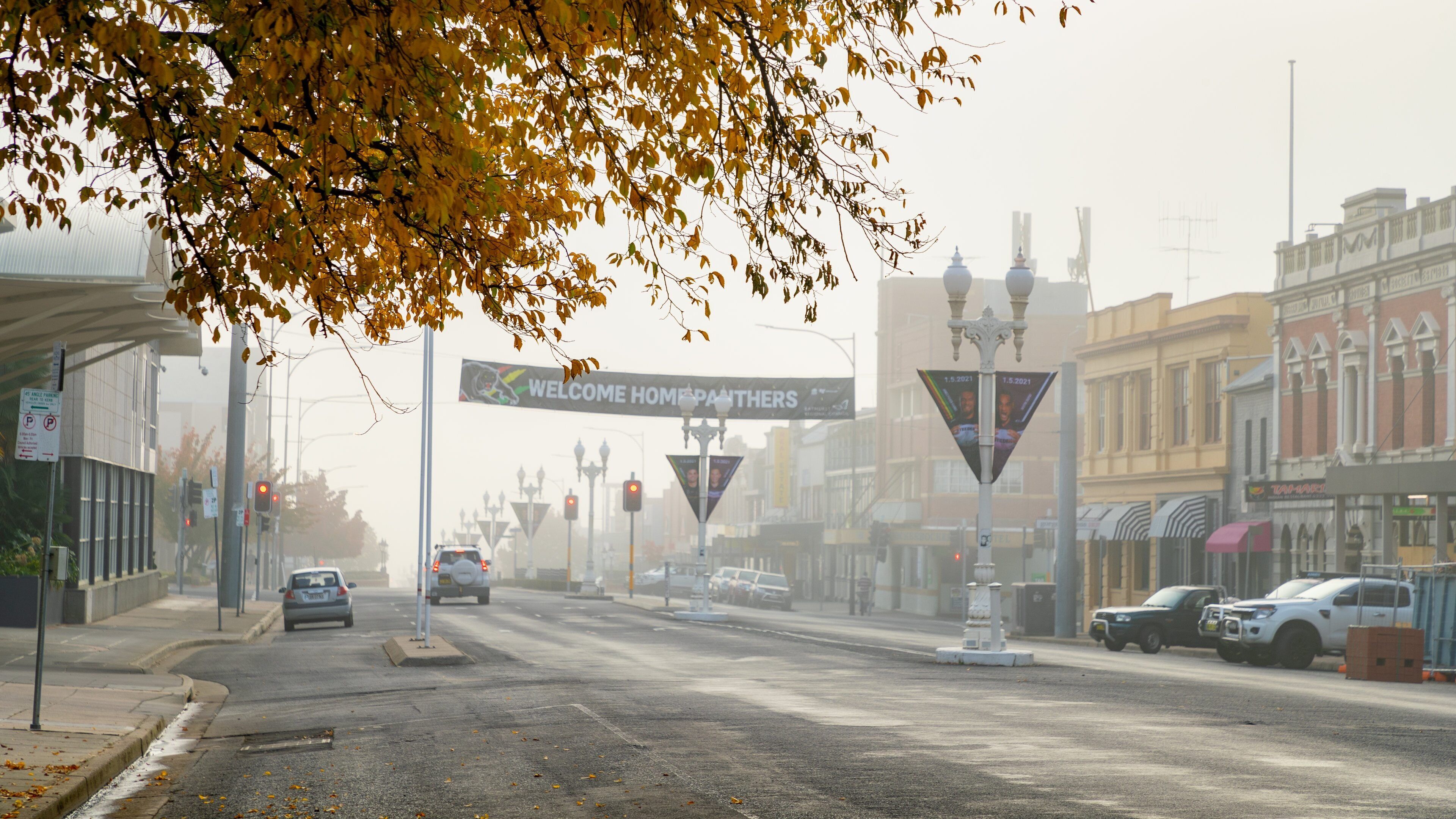 Bathurst featuring signage, a city and mist or fog