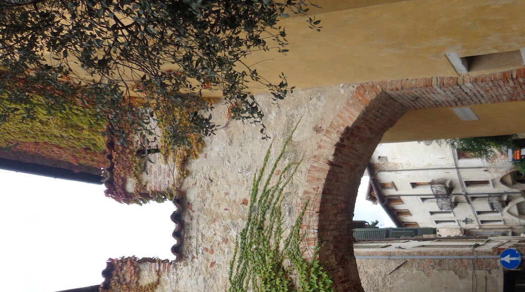 Beautiful small town in the midst of the Processo grape district in Italy. Built on top of hill country. Great views.