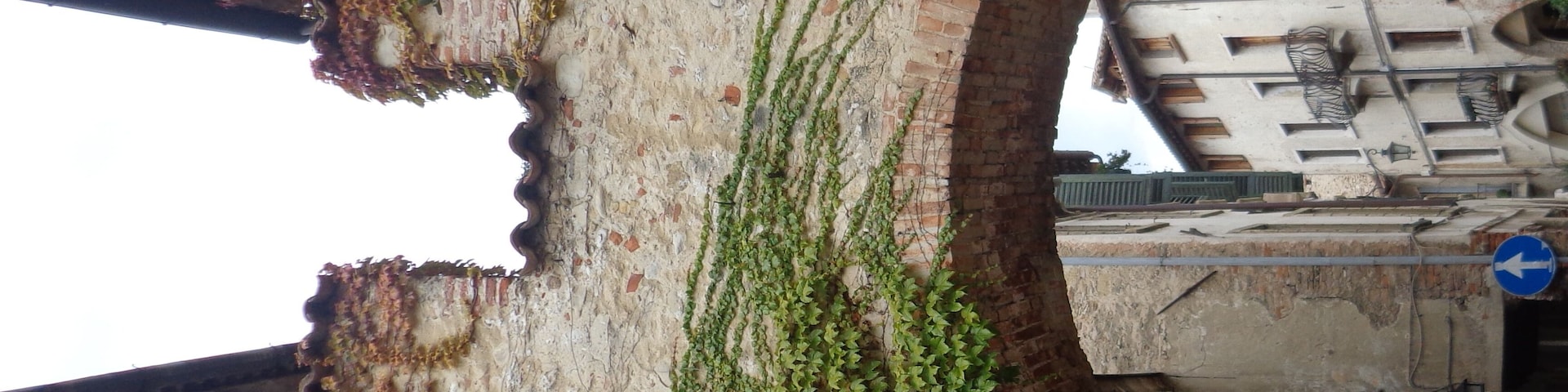Un edificio antiguo con hiedra cubriendo sus paredes y un arco de ladrillo circular.