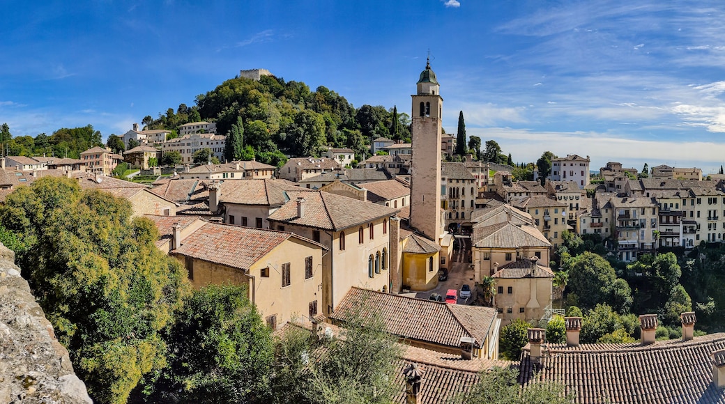 Une ville historique, reconnaissable à son imposant clocher d’église, à ses bâtiments aux toits de tuiles rouges et à un château perché sur une colline.