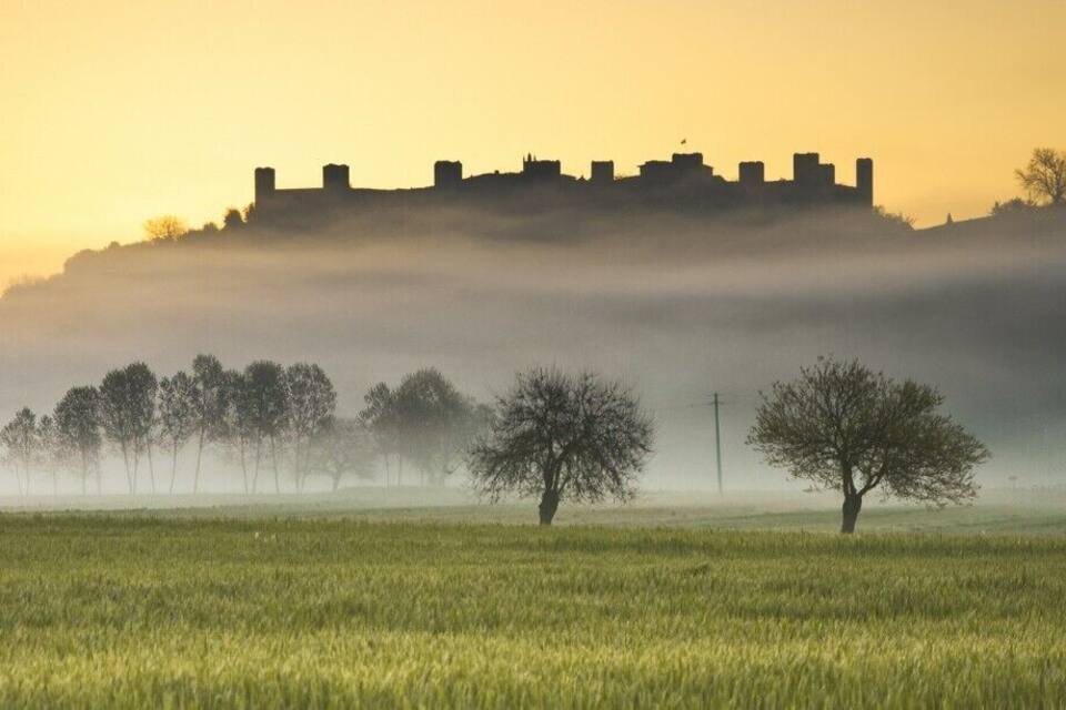 Een mistig landschap met een kasteel in de verte, een eenzame boom en een veld.