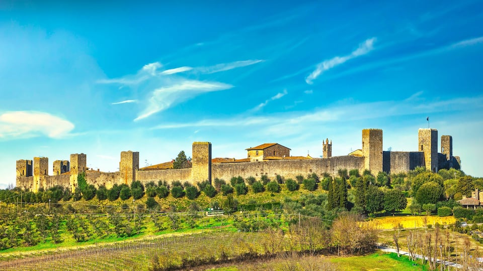 A historic castle on a hill with surrounding vineyards and a small house.