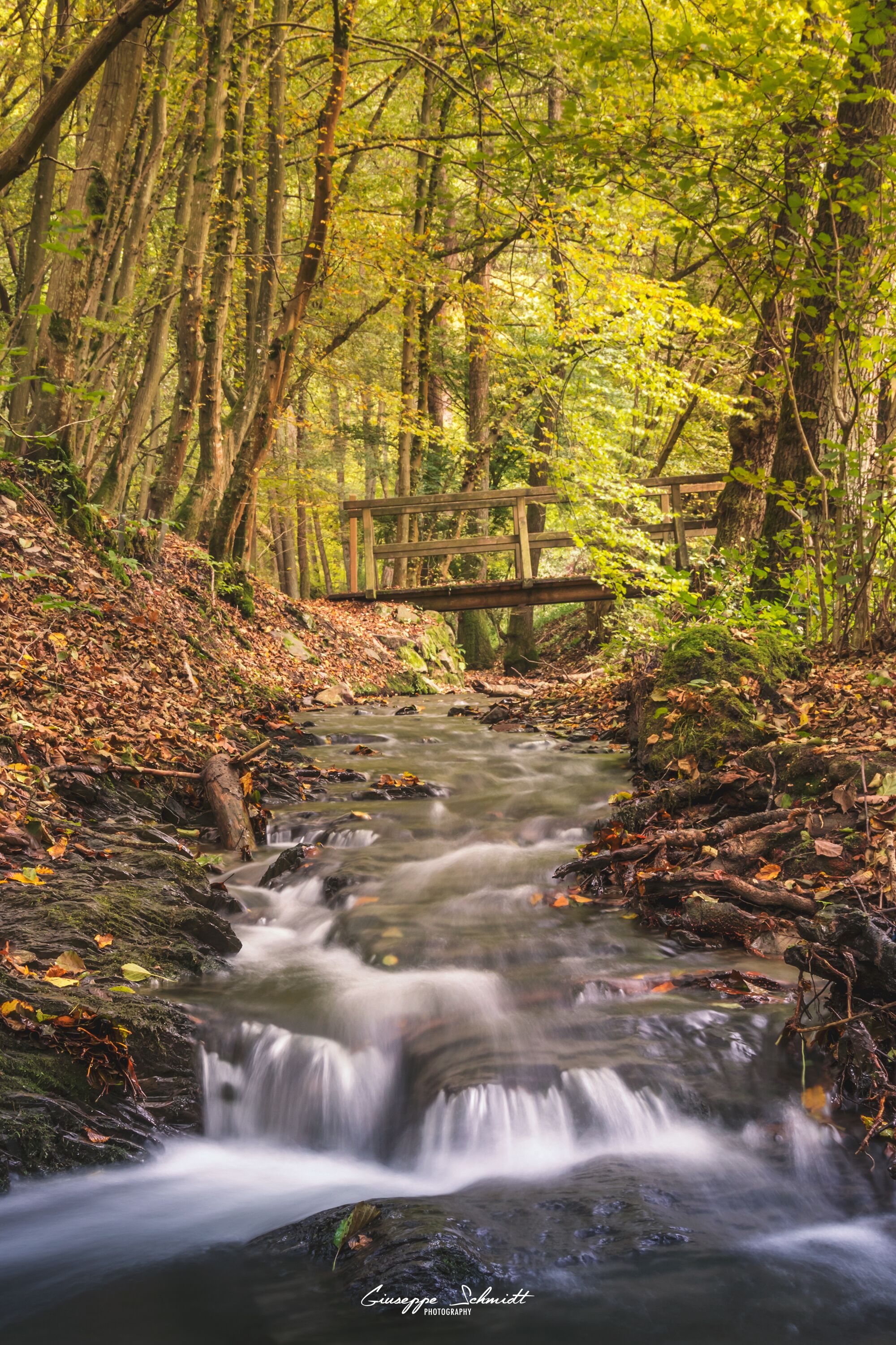 A little stream along the trail  "Traumschleife Elfenlay" back to Boppard.