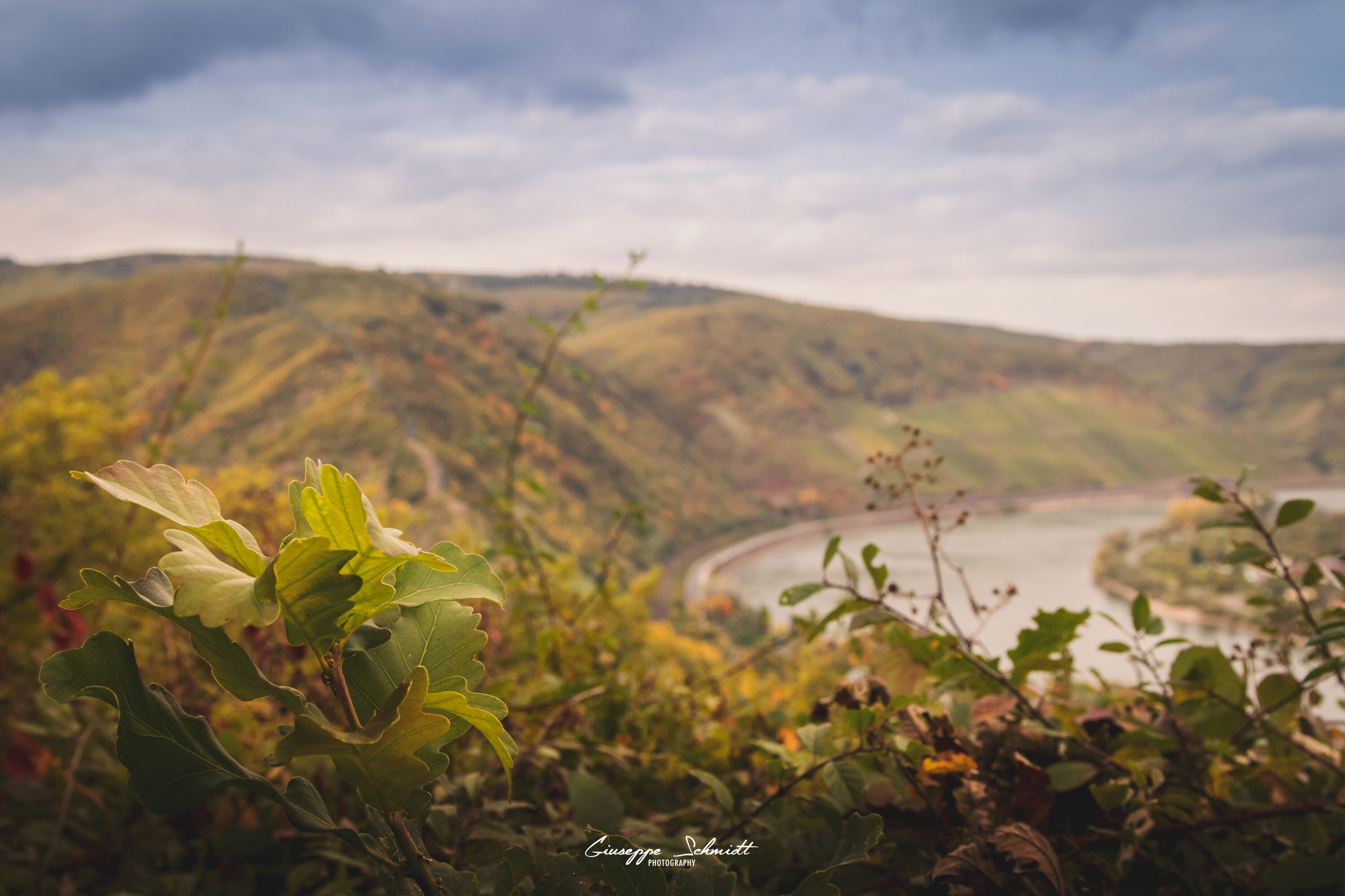 A great viewpoint over the valley. This Viewpoint is part of the "Traumschleife Elfenlay".