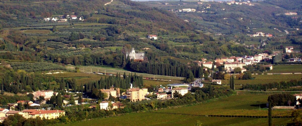 A rural landscape with rolling hills, vineyards, and scattered buildings.