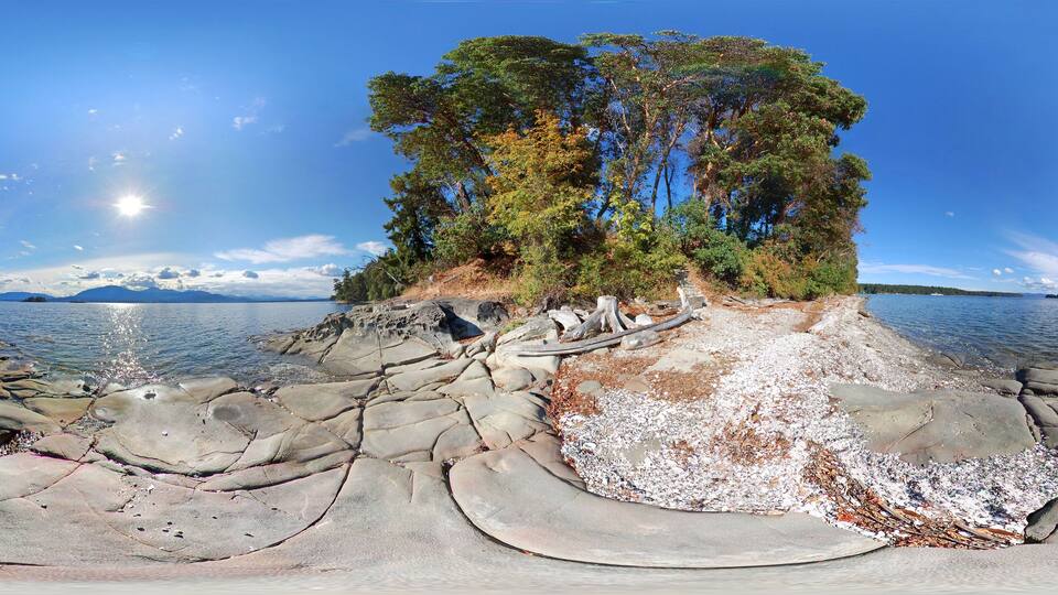A rocky shoreline with a large tree and a clear view of the water and distant mountains.