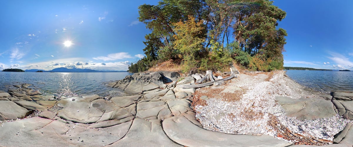 A rocky shoreline with a large tree and a clear view of the water and distant mountains.
