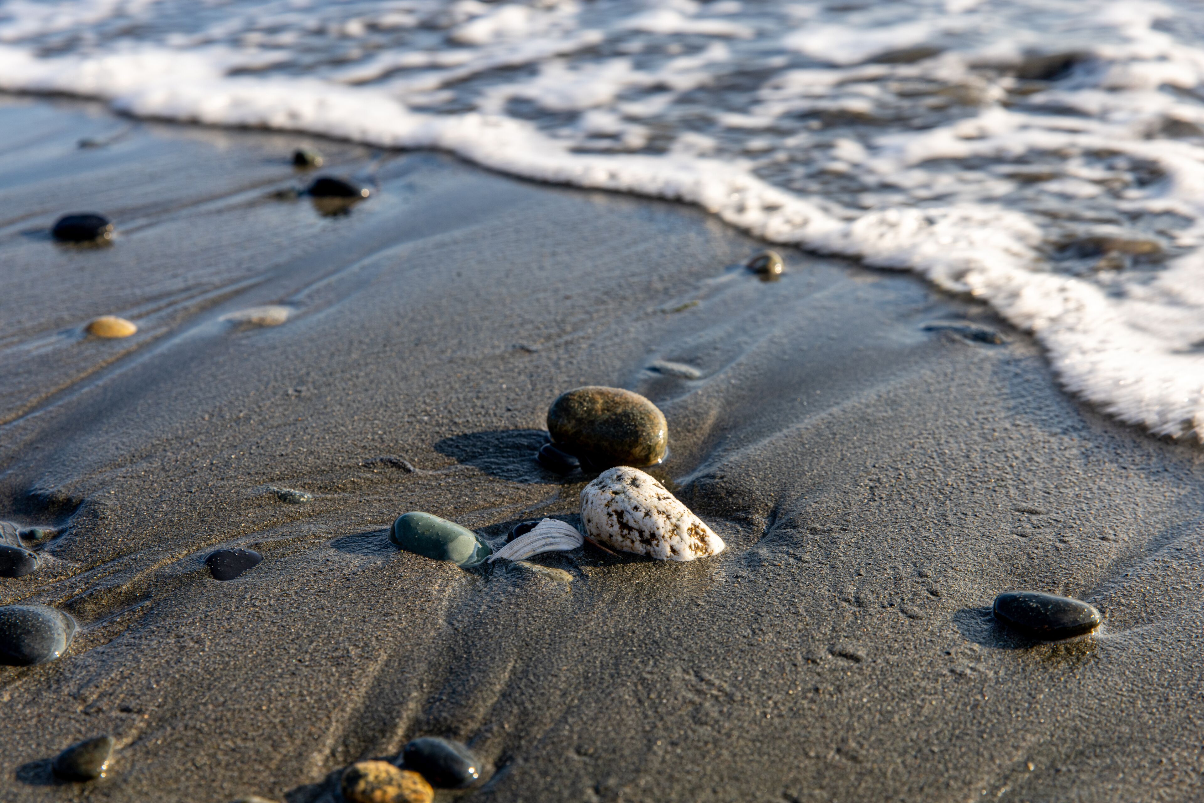 A sandy beach with scattered rocks and a foamy wave.