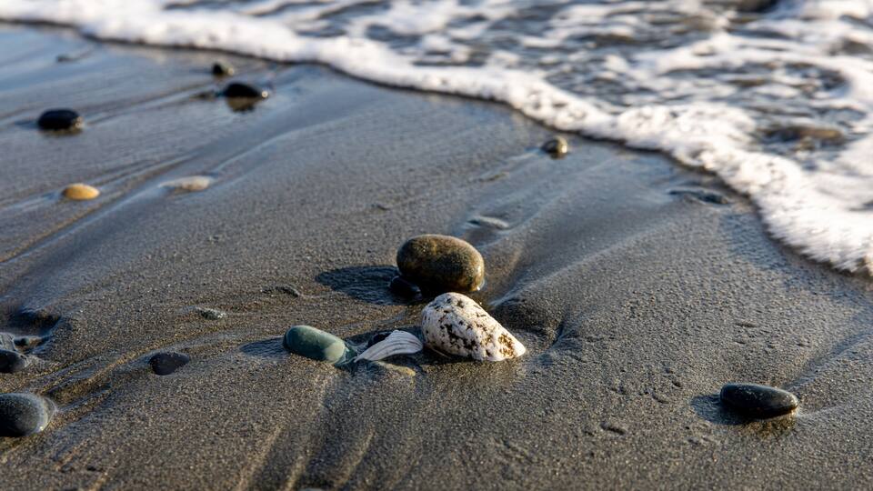A sandy beach with scattered rocks and a foamy wave.